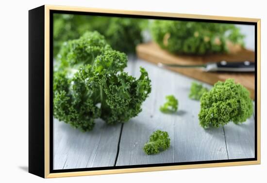 Fresh Kale on Gray Wooden Table-Jana Ihle-Framed Premier Image Canvas