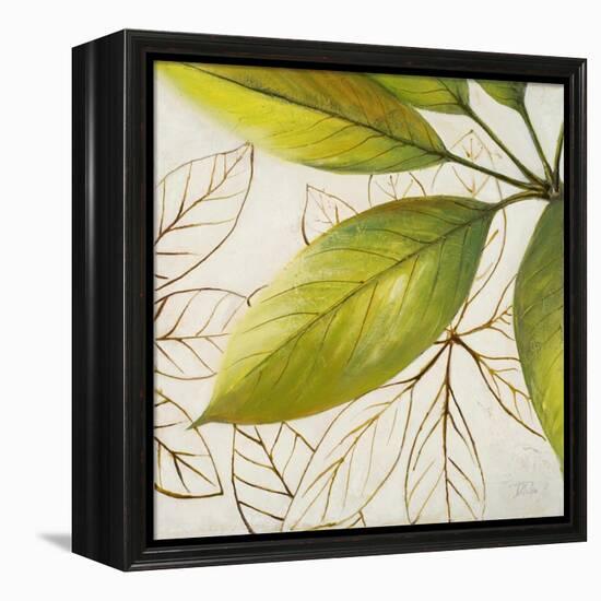 Fresh Leaves I-Patricia Pinto-Framed Stretched Canvas