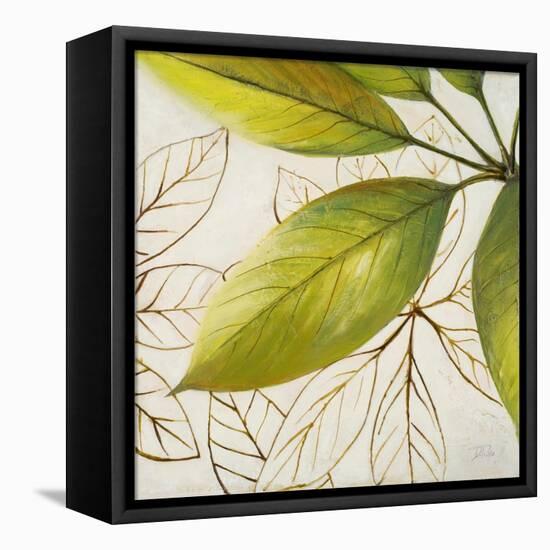 Fresh Leaves I-Patricia Pinto-Framed Stretched Canvas
