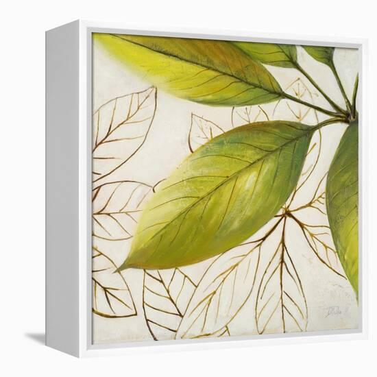 Fresh Leaves I-Patricia Pinto-Framed Stretched Canvas