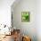 Fresh Lemon Balm-Axel Weiss-Framed Premier Image Canvas displayed on a wall