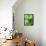 Fresh Lemon Balm-Axel Weiss-Framed Premier Image Canvas displayed on a wall