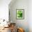 Fresh Lemon Balm-Axel Weiss-Framed Photographic Print displayed on a wall