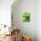 Fresh Lemon Balm-Axel Weiss-Mounted Photographic Print displayed on a wall