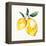 Fresh Lemons I-Stella Chang-Framed Stretched Canvas