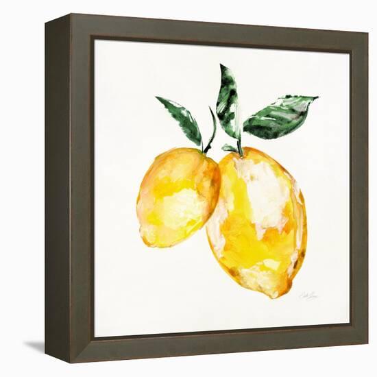 Fresh Lemons I-Stella Chang-Framed Stretched Canvas