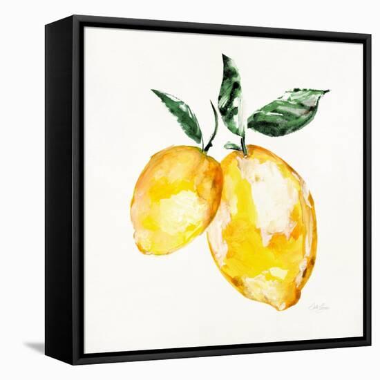 Fresh Lemons I-Stella Chang-Framed Stretched Canvas