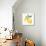 Fresh Lemons I-Stella Chang-Framed Stretched Canvas displayed on a wall
