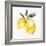 Fresh Lemons I-Stella Chang-Framed Art Print