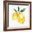 Fresh Lemons I-Stella Chang-Framed Art Print