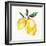 Fresh Lemons I-Stella Chang-Framed Art Print