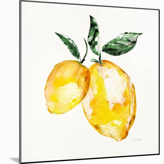 Fresh Lemons I-Stella Chang-Mounted Art Print