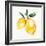 Fresh Lemons I-Stella Chang-Framed Art Print