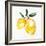 Fresh Lemons I-Stella Chang-Framed Art Print