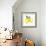 Fresh Lemons II-Stella Chang-Framed Art Print displayed on a wall