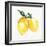 Fresh Lemons II-Stella Chang-Framed Art Print