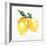 Fresh Lemons II-Stella Chang-Framed Art Print