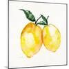 Fresh Lemons II-Stella Chang-Mounted Art Print