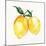 Fresh Lemons II-Stella Chang-Mounted Art Print