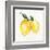 Fresh Lemons II-Stella Chang-Framed Art Print