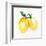 Fresh Lemons II-Stella Chang-Framed Art Print