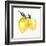 Fresh Lemons II-Stella Chang-Framed Art Print