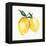 Fresh Lemons II-Stella Chang-Framed Stretched Canvas