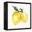 Fresh Lemons II-Stella Chang-Framed Stretched Canvas