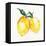 Fresh Lemons II-Stella Chang-Framed Stretched Canvas