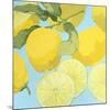 Fresh Lemons-Martha Negley-Mounted Premium Giclee Print