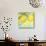 Fresh Lemons-Martha Negley-Mounted Premium Giclee Print displayed on a wall