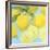 Fresh Lemons-Martha Negley-Framed Premium Giclee Print