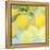 Fresh Lemons-Martha Negley-Framed Premier Image Canvas