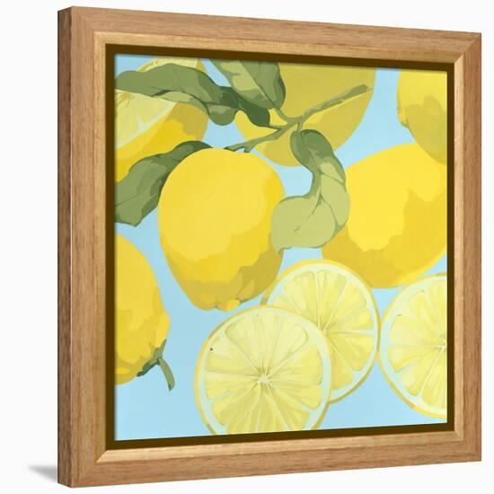 Fresh Lemons-Martha Negley-Framed Premier Image Canvas