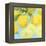 Fresh Lemons-Martha Negley-Framed Premier Image Canvas