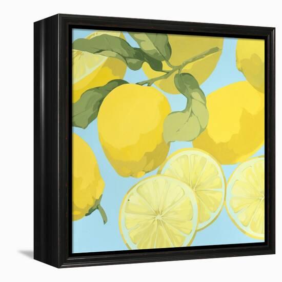 Fresh Lemons-Martha Negley-Framed Premier Image Canvas