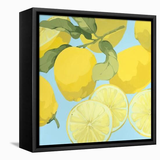 Fresh Lemons-Martha Negley-Framed Premier Image Canvas