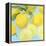 Fresh Lemons-Martha Negley-Framed Premier Image Canvas