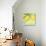 Fresh Lemons-Martha Negley-Giclee Print displayed on a wall