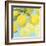 Fresh Lemons-Martha Negley-Framed Premium Giclee Print