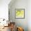 Fresh Lemons-Martha Negley-Framed Premium Giclee Print displayed on a wall