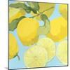 Fresh Lemons-Martha Negley-Mounted Premium Giclee Print