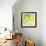 Fresh Lemons-Martha Negley-Framed Giclee Print displayed on a wall