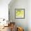 Fresh Lemons-Martha Negley-Framed Giclee Print displayed on a wall