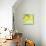 Fresh Lemons-Martha Negley-Mounted Giclee Print displayed on a wall