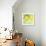 Fresh Lemons-Martha Negley-Framed Premier Image Canvas displayed on a wall