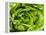 Fresh Lettuce-Greg Elms-Framed Premier Image Canvas