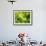 Fresh Lettuce-Kai Stiepel-Framed Photographic Print displayed on a wall