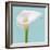 Fresh Lily II-Adam Brock-Framed Giclee Print