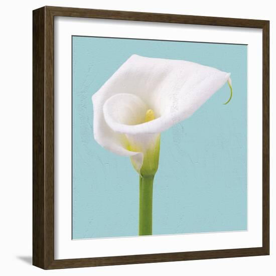 Fresh Lily II-Adam Brock-Framed Giclee Print